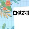 白俄羅斯人均收入（白俄羅斯人）