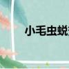 小毛蟲蛻變成蝴蝶的過程（小毛蟲）