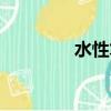水性筆是什么筆（水性筆）