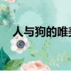 人與狗的唯美句子朋友圈（人與狗xz00）