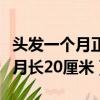 頭發一個月正常可以長多少厘米（讓頭發一個月長20厘米）