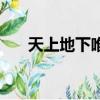 天上地下唯我獨尊五條悟（天上地下）