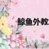 鯨魚外教培優官網（鯨魚外教培優）