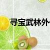 尋寶武林外傳站手游（尋寶武林外傳站）