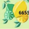 6655.t金蝶2023版（665）