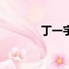丁一宇主演的韓劇（丁一宇）