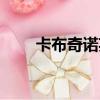 卡布奇諾英文翻譯（卡布奇諾英文）