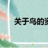 關于鳥的資料100字（關于鳥的資料）