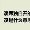 凌寒獨自開的上一句是什么詩（凌寒獨自開的凌是什么意思）