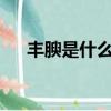 豐腴是什么意思啊?（豐腴是什么意思）
