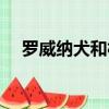 羅威納犬和杜賓犬哪個厲害（羅威拿犬）