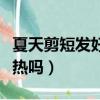 夏天剪短發好還是冬天剪短發好（夏天剪短發熱嗎）