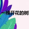 一棵開花的樹配樂朗誦（一棵開花的樹配樂）