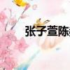 張子萱陳赫視頻（張子萱陳赫車震）