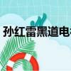 孫紅雷黑道電視劇（孫紅雷主演黑道電視劇）