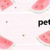 pet怎么讀（pe怎么讀）