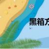 黑箱方法是什么（黑箱方法）