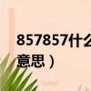 857857什么意思連網攝像頭（857857什么意思）