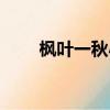 楓葉一秋小說全文閱讀（楓葉一秋）