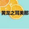 黃龍之耳美那章在線（黃龍之耳未刪減漫畫）