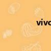 vivoy17pro（vivoy17）