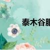 泰木谷服務網點（泰木谷合法嗎）