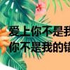 愛上你不是我的錯在線觀看（印度電視劇愛上你不是我的錯）