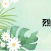 烈的拼音（剛的拼音）