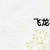 飛龍喜歡誰（飛龍的孩子）