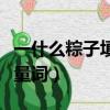 一什么粽子填量詞一個一年級（一什么粽子填量詞）