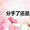 分手了還是朋友歌曲（分手了還是朋友）