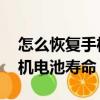怎么恢復手機電池壽命榮耀9X（怎么恢復手機電池壽命）