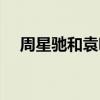 周星馳和袁詠儀的電影（袁詠儀的電影）