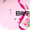 日向寧次圖片頭像（日向寧次）