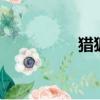 獵狐者Y屬性（獵狐者）