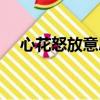 心花怒放意思解釋視頻（心花怒放意思）