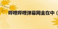 嗶哩嗶哩彈幕網金在中(金在中妹妹)