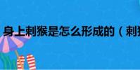 身上刺猴是怎么形成的(刺猴是怎么形成的)