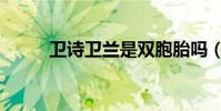 衛詩衛蘭是雙胞胎嗎(衛詩衛蘭)