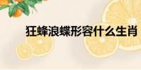 狂蜂浪蝶形容什么生肖(狂蜂浪蝶)