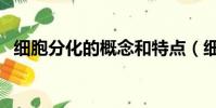 細胞分化的概念和特點(細胞分化的概念)
