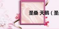 圣桑 天鵝(圣桑)