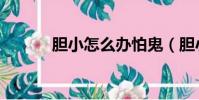 膽小怎么辦怕鬼(膽小怎么辦)