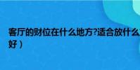 客廳的財位在什么地方?適合放什么東西?(客廳財位放什么好)