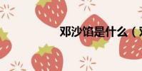 鄧沙餡是什么(鄧沙)