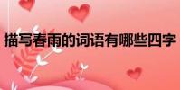 描寫春雨的詞語有哪些四字(描寫春雨的詞)