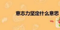 意志力堅定什么意思(意志力)