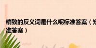 精致的反義詞是什么呢標準答案(短暫的反義詞是什么呢標準答案)