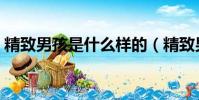 精致男孩是什么樣的(精致男孩是什么意思)
