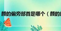 顏的偏旁部首是哪個(顏的部首是什么偏旁)